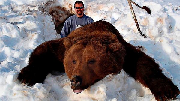 Brown Bear and Yukon Moose Hunt: The Real Adventure